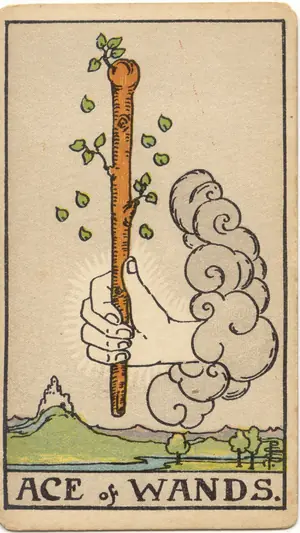權杖王牌 Ace of Wands