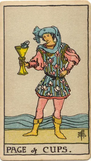 聖杯侍者 Page of Cups